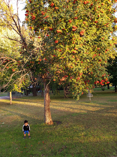 Redfield Parks & Recreation - Thumbnail