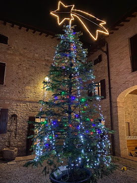 Acetaia La Ca' dal Non 1883 Vignola by null