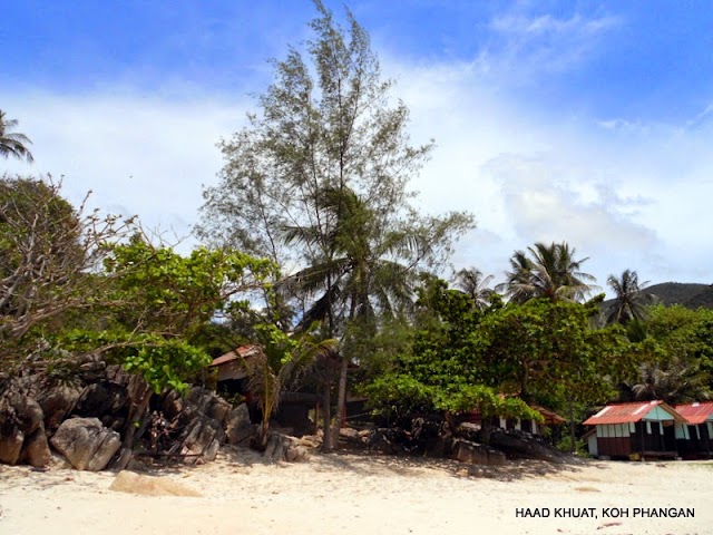 Bottle Beach