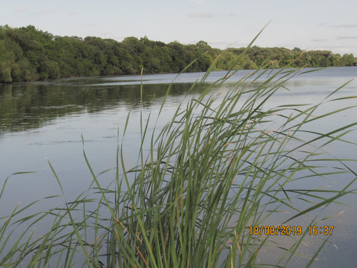 Pickerel Lake Park - Thumbnail