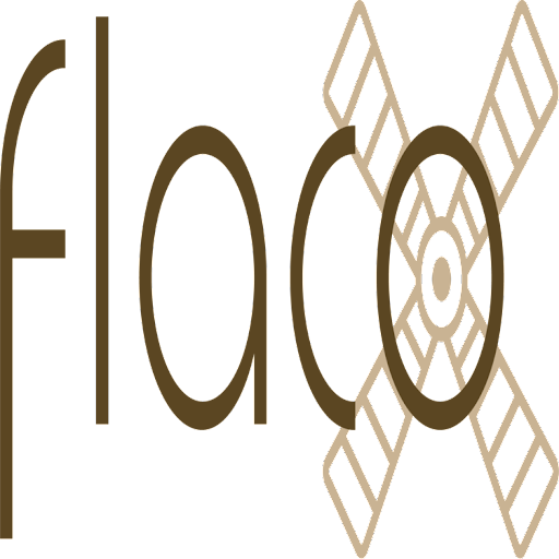 flaco - Visual
