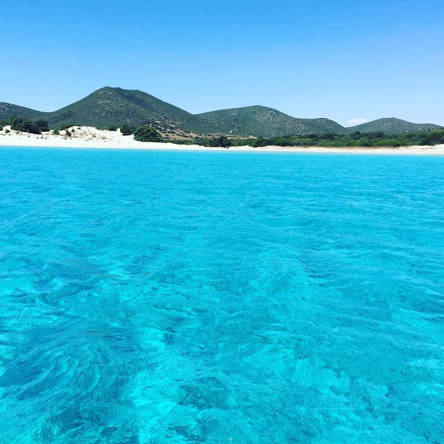Porto Zafferano