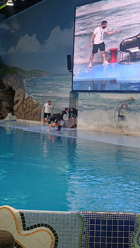 Af1qipnwdhy73y1xynqgbhgfvlkbjqwxudp4xx0c Lef=s508 K No