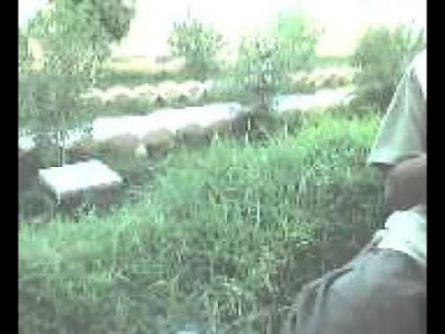 Photos of حديقة