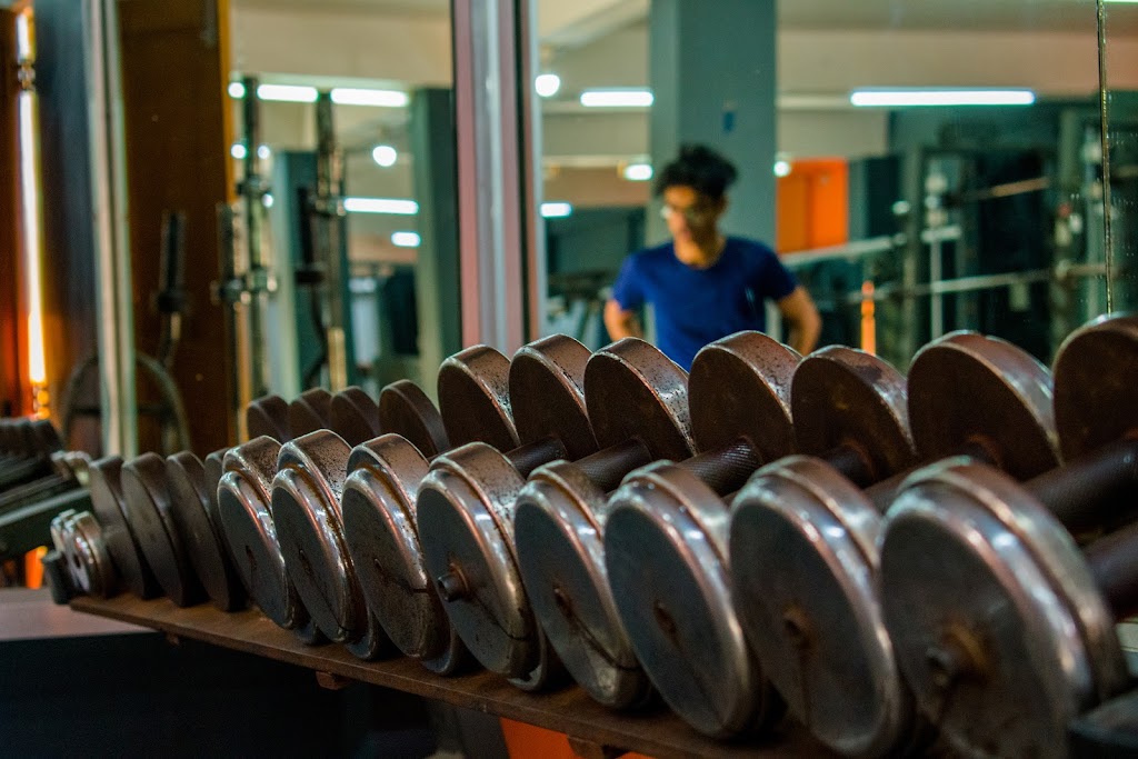 One Life Fitness Nutrition