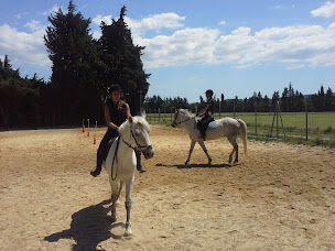 Photo n°1 de ECURIE DU REGAIN à Sénas (Centre équestre)