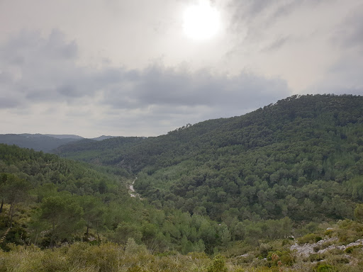 Parc d'Olesa de Bonesvalls - Thumbnail