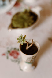 Photo n°17 de Chez Alice - Café associatif à Massignac (Association culturelle)