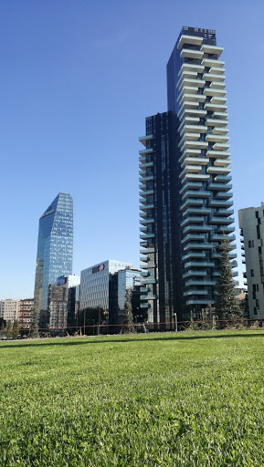 Gioia M2 - Visual