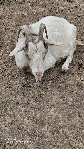Piccolo farms animal sanctuary extension Logo