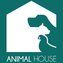 photo of Animal House