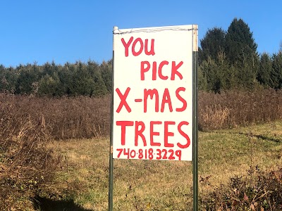 U-Pick Christmas Trees at Dogwood Tree Farm