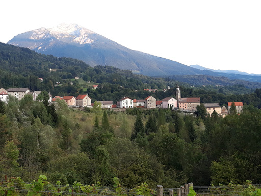 Alpago - Visual
