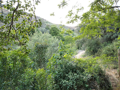 Merendero Fuente del Cura