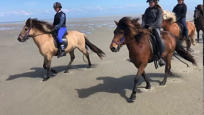 Opinii despre Bindernæs Efterskole în Maribo - Skole