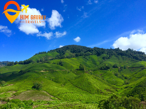 Welcome to Him Gaurav Travels: Your Ultimate Choice for Tour and Travel in Shimla post image