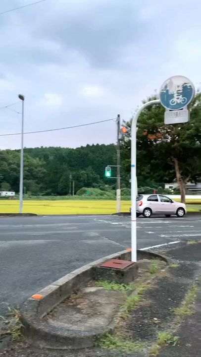 にゃんこばぁちゃん家