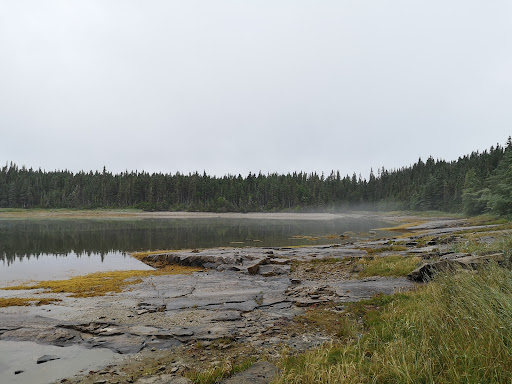 Barachois à Montpetit Gallery - Canada