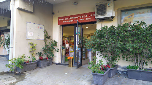 Pharmacy Monte Po Snc