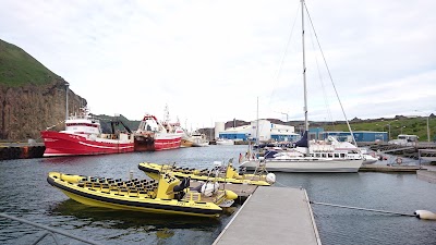 Photos of Tanginn