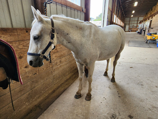 Bull Run Stables