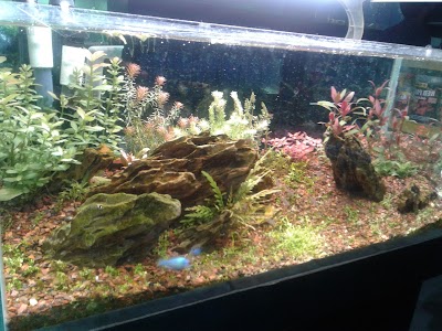 Photos of Pet Shop Catuta