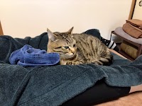 Hotto Space ほっとスペース