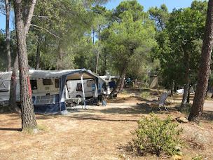 Photo n°4 de CAMPING MUNICIPAL LA PINEDE à Bédoin (Terrain de camping)