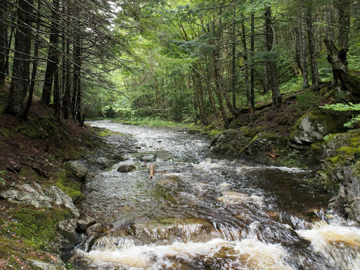 Jeffers Brook Falls Gallery - Canada