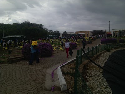 Photos of Olives Cemetery