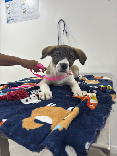 Clínica Veterinária AICAD