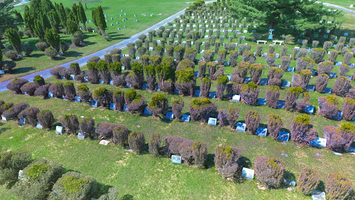 Pet Haven Cemetery - Thumbnail