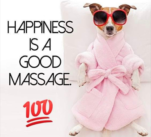 Body Mechanics Massage Therapy - Thumbnail