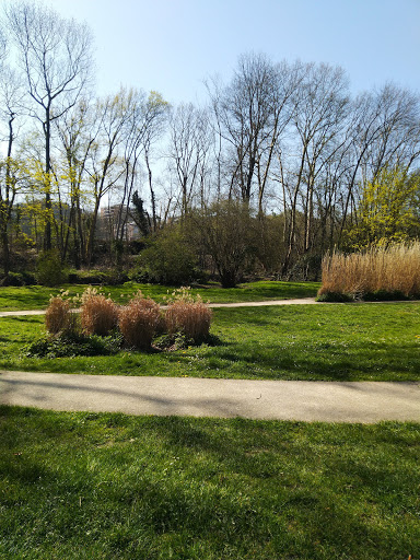 Parc de l'Île de Brunoy
