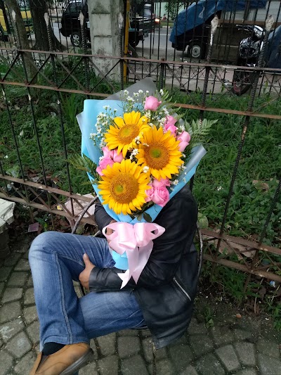 Photos of Florists Bandung Bougenville