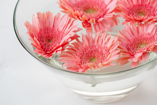 Aesthetics By Marina