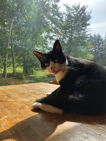 Kussharo Genya Youth Guesthouse by null