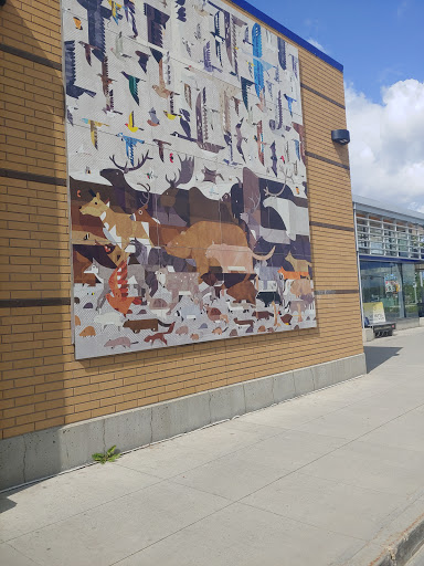 Meadows Transit Centre - Visual