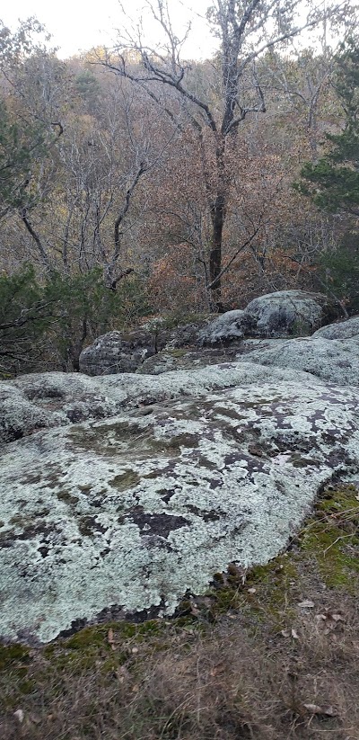 Buffalo Point Overlook