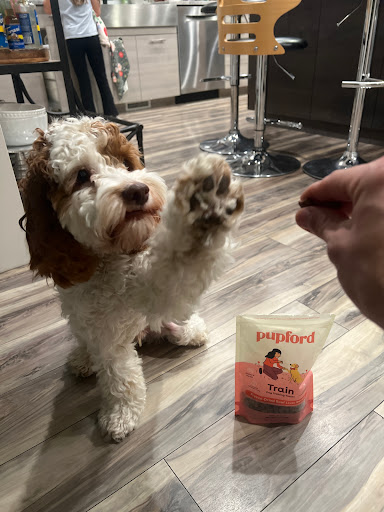Pupford - Thumbnail