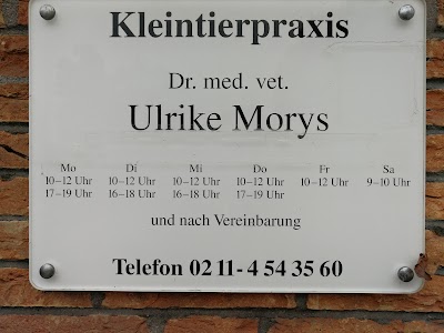 veterinary-care
