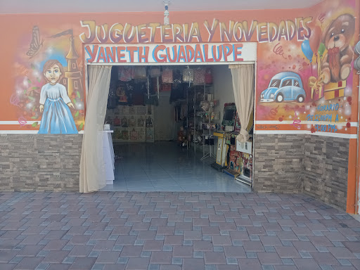 Jugueteria y Novedades Yaneth Guadalupe