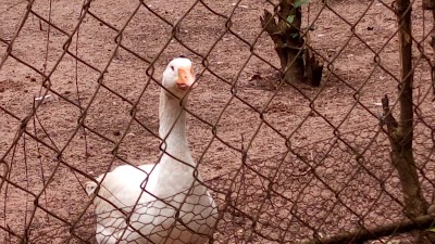 Photos of Owerri Zoo