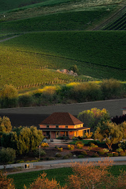 Talley Vineyards by null