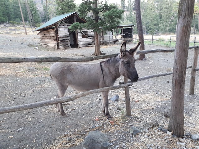 Parco di Galceti