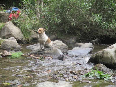 Photos of Waterfall Taxopamba