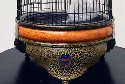 Photos of rafi bird shop
