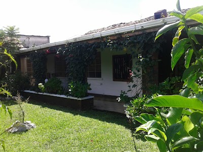 Photos of Hostal Chapultepec