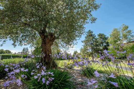 Photo de Désiles Paysage et Piscine | Vitré à Erbrée (35500)
