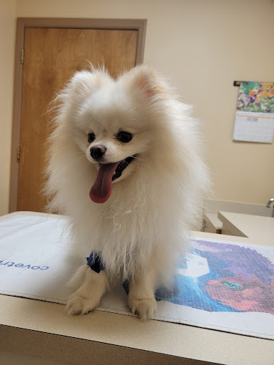 Barrett Station Veterinary Clinic - Thumbnail